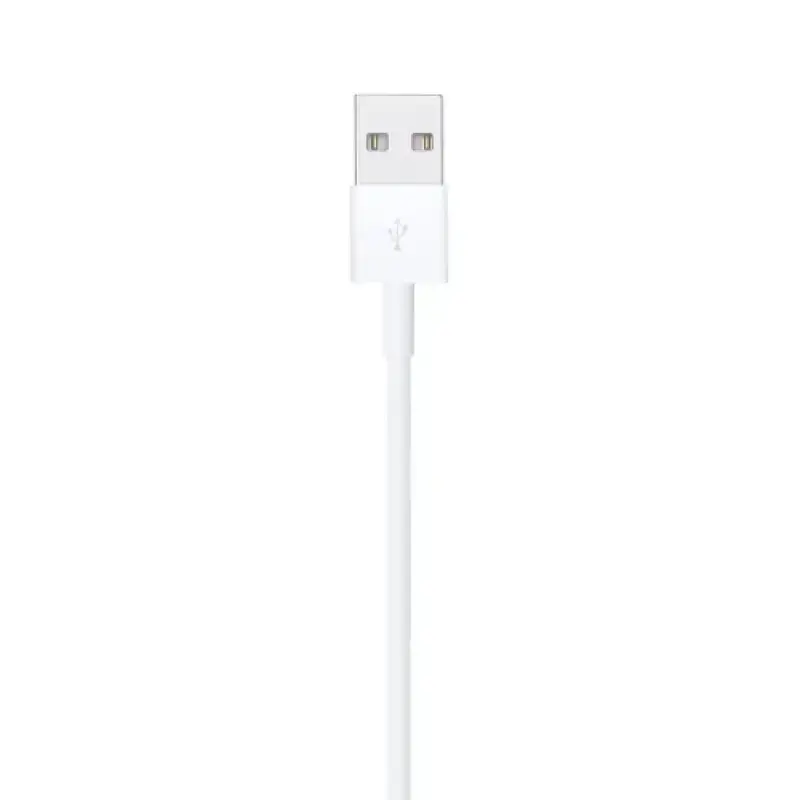 Apple Lightning to USB A Cable ( 1m )