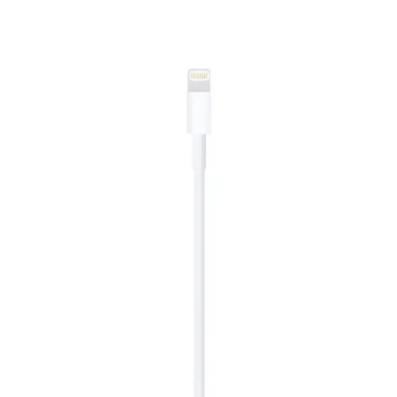 Apple Lightning to USB A Cable ( 1m )